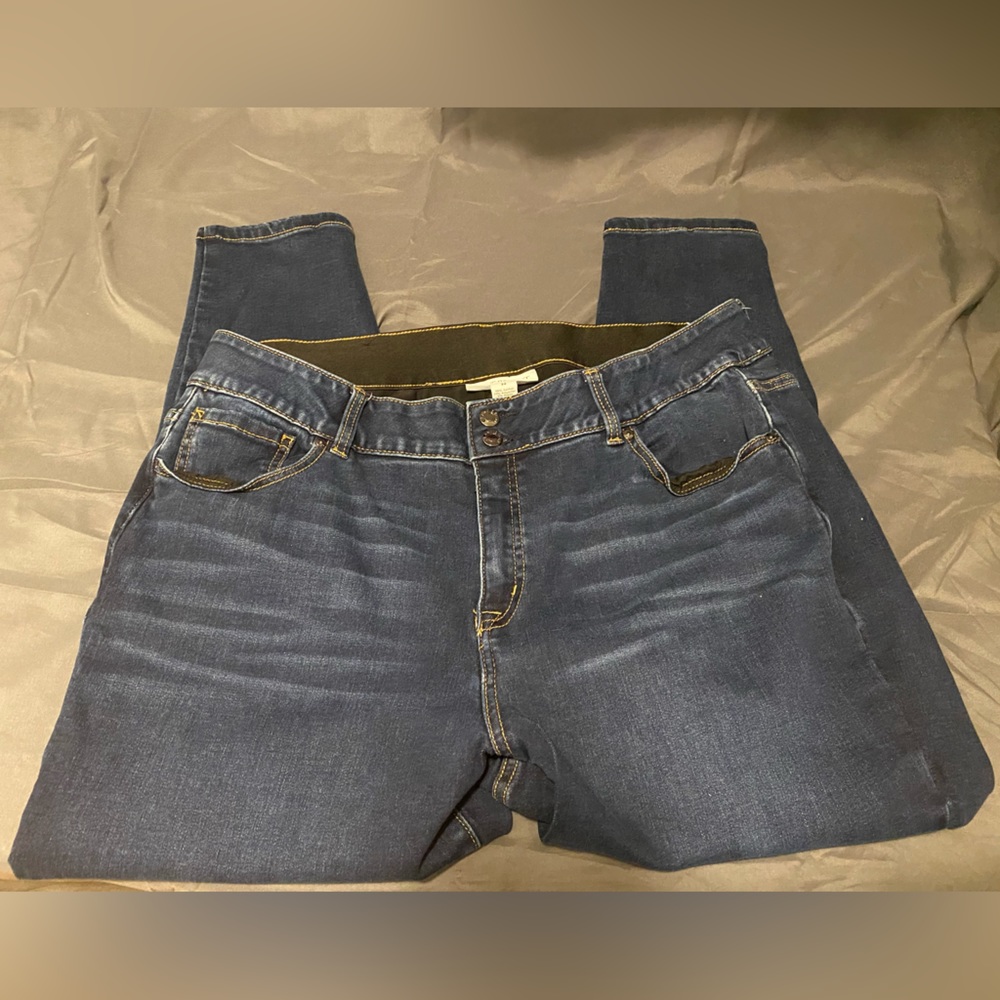 Lane Bryant Skinny Jeans